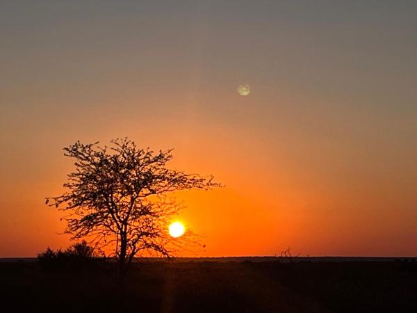 照片显示了位于Gobabis市的Farm stay in the heart of the Kalahari Namibia- serviced luxury self catering accommodation物件。