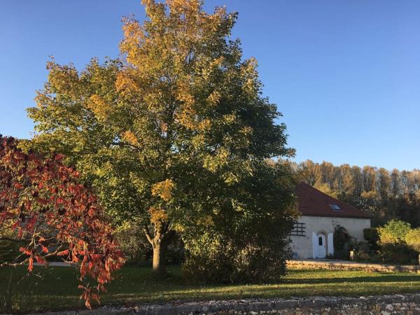 A la foto es mostra l'objecte Gîte 8 chambres entre Reims et Epernay - La Chenevière - Gîtes Au Beau Sarrazin situat a la ciutat de Avenay-Val-dʼOr.