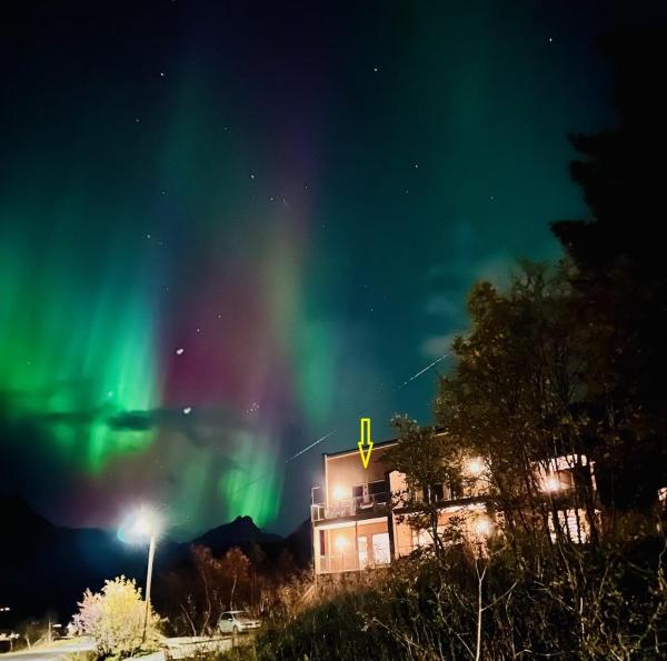 På billedet ses objektet Apartment in Svolvær beliggende i byen Svolvær.