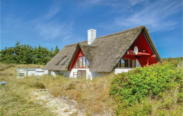 A la foto es mostra l'objecte Holiday Home Tingodden Iv situat a la ciutat de Hvide Sande.