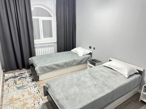 A la foto es mostra l'objecte Shetel situat a la ciutat de Kapchagay.