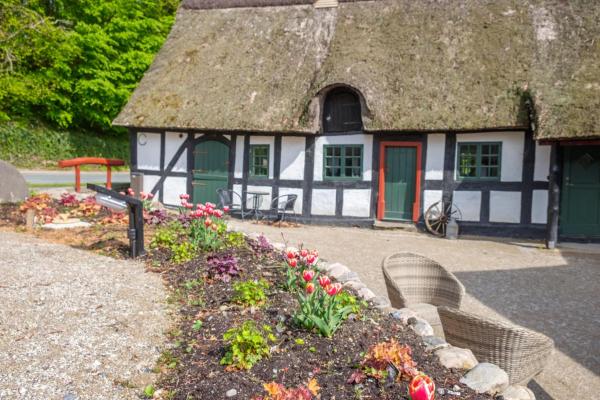 Awesome Home In Knebel With 3 Bedrooms, Sauna And Internet