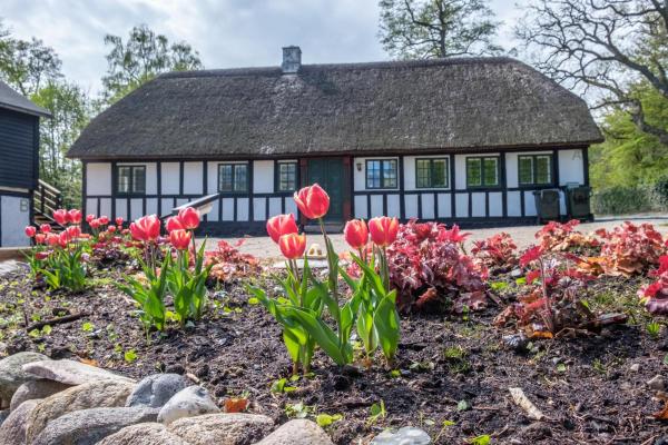 A la foto es mostra l'objecte Awesome Home In Ebeltoft With 3 Bedrooms And Internet situat a la ciutat de Ebeltoft.