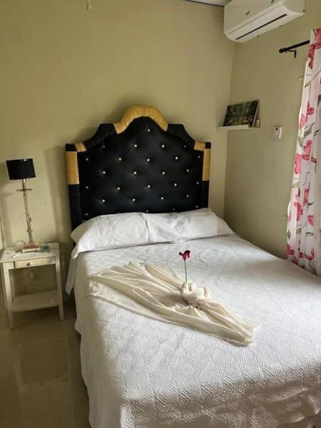 På billedet ses objektet Lower Green castle beliggende i byen Ewarton.