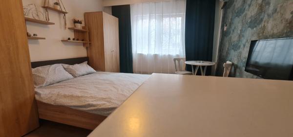 På billedet ses objektet Garsoniera Cozy beliggende i byen Timişoara.