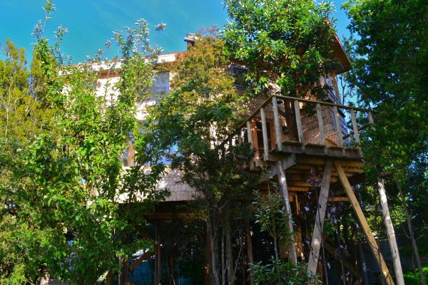 A la foto es mostra l'objecte La Casa Del Árbol De Chiloé situat a la ciutat de Castro.