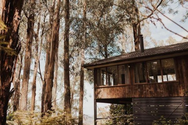 The photo shows the Forest Retreat located in the city of Tremont.