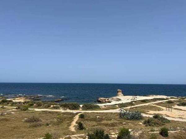 A la foto es mostra l'objecte Appartement Fawara Hammamet situat a la ciutat de Hammamet.