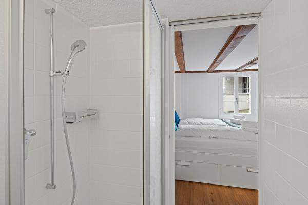 Billede 7: ARISER - Zug Unique Apartment in Historic 15th Century Building