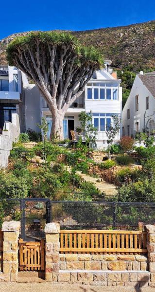 På bilden syns objektet The Dragon Tree Guesthouse som ligger i staden Kalk Bay.