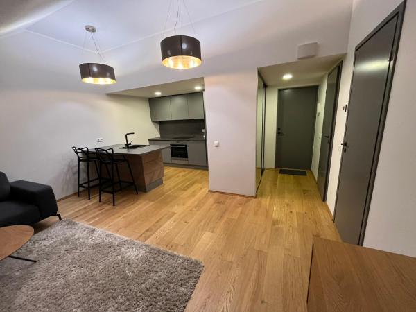 A la foto es mostra l'objecte Tartu Deluxe Apartments Pargi 10 situat a la ciutat de Tartu.