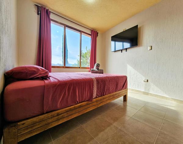 Nella foto è visibile l'oggetto Casa-Oxa situato nella città di Tasquillo.