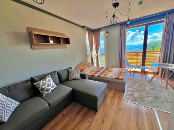 A la foto es mostra l'objecte St Ivan Ski and Spa Studio situat a la ciutat de Bansko.