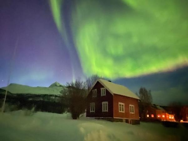 På billedet ses objektet Norwegian house beliggende i byen Hestnes.