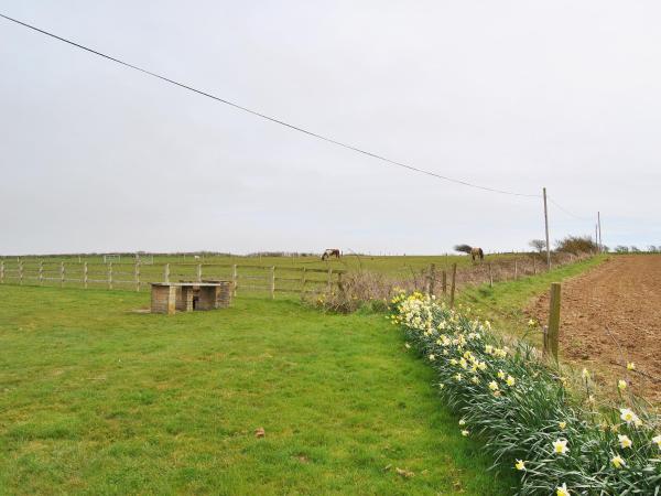 Foto 3: Appletree - 28555