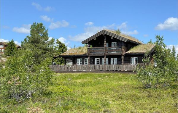 A la foto es mostra l'objecte Amazing Home In Nissedal With Lake View situat a la ciutat de Solli.