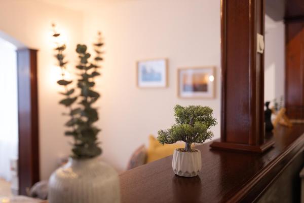 Vila Bonsai Golija - Serbia