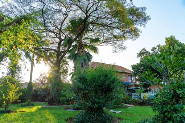 Nella foto è visibile l'oggetto Jjaja's Avocado Grove - Papaya situato nella città di Makindye.