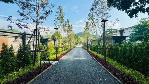 A la foto es mostra l'objecte Willow Tree House Khao Yai situat a la ciutat de Mu Si.