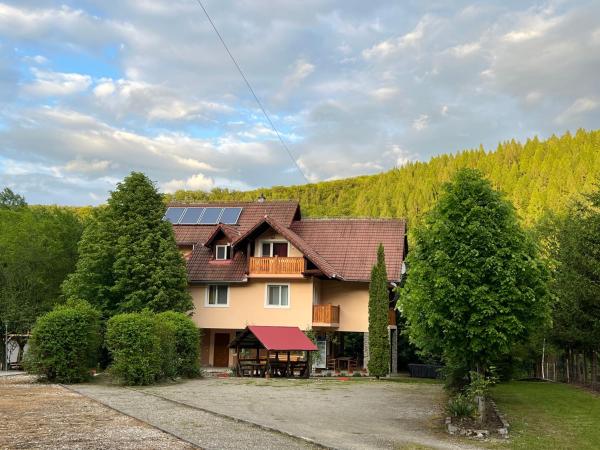 Na fotografii je vidět objekt Pensiunea Paradisul Naturii nacházející se ve městě Recea.