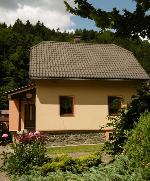 Na fotografii je vidět objekt Chata u hajného nacházející se ve městě Vikantice.