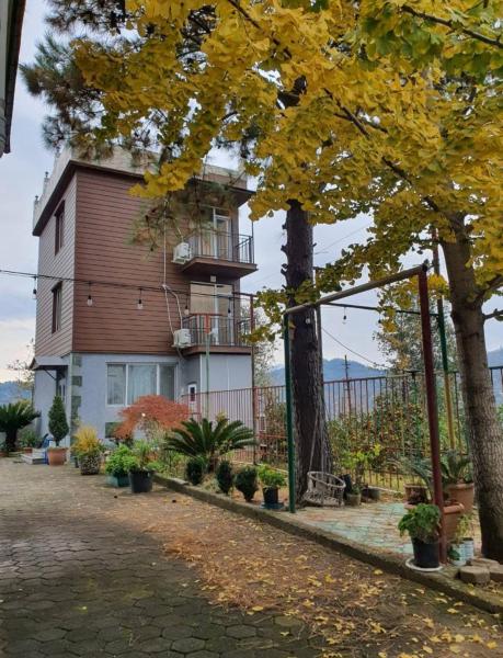 写真にはGanakhleba市にあるGT House Batumiが写っています。
