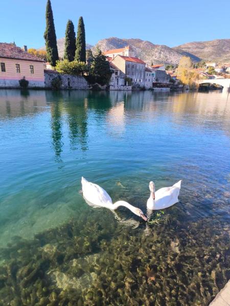 A la foto es mostra l'objecte Apartment Marija situat a la ciutat de Trebinje.