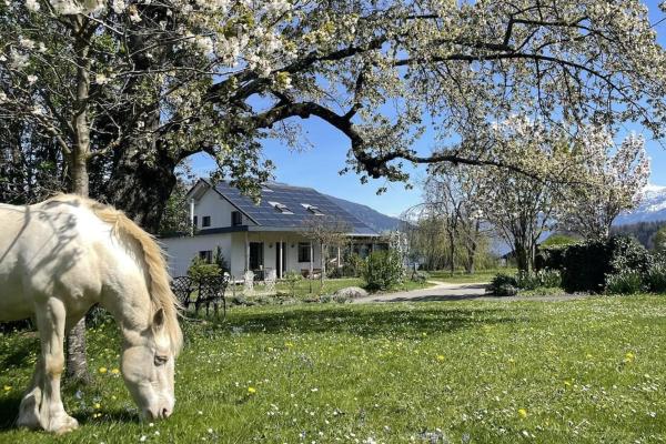 Cloud Garden Maisonette - Faulensee