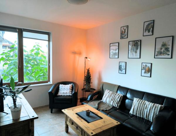 A la foto es mostra l'objecte Pine`s Lodge , private Wi-FI situat a la ciutat de Bansko.