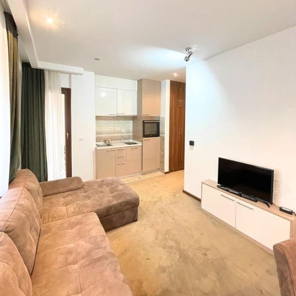 Nella foto è visibile l'oggetto Apartman Golden Valley situato nella città di Čajetina.