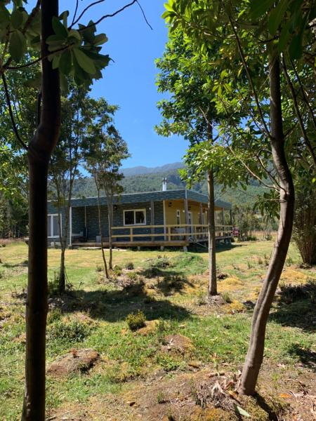 Na fotografii je vidět objekt Cabaña con árboles nativos en su patio. nacházející se ve městě Lenca.