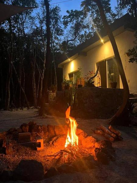 En la foto se muestra el objeto Casa Dharma House in the jungle ubicado en la ciudad de Macario Gomez.