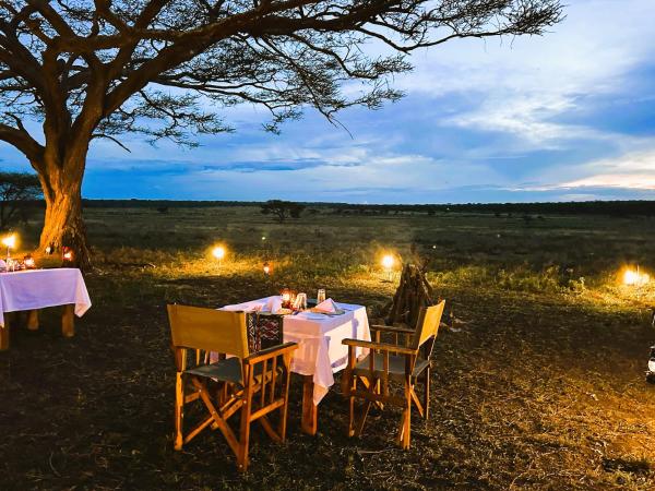 Africa Safari Serengeti Kusini