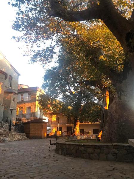 A la foto es mostra l'objecte Nature Paradise Apartment situat a la ciutat de Mitrópolis.