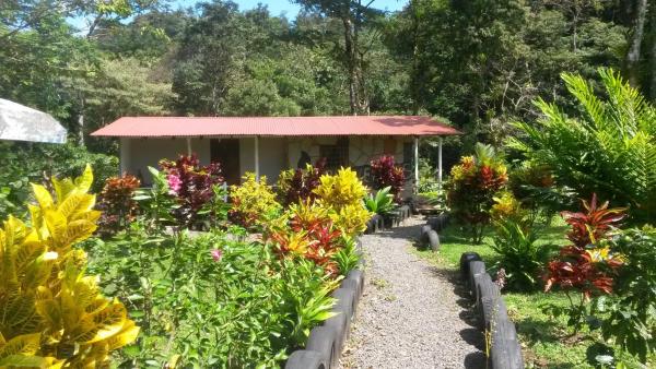 A la foto es mostra l'objecte Nacientes Lodge situat a la ciutat de Paraíso.