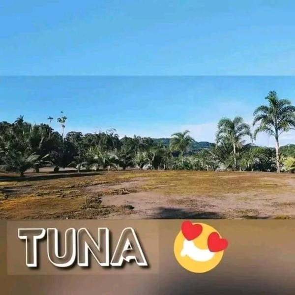 Na fotografii je vidět objekt Comunidad Ecoturistico TUNA ARUTMA JEE nacházející se ve městě Ayuy.