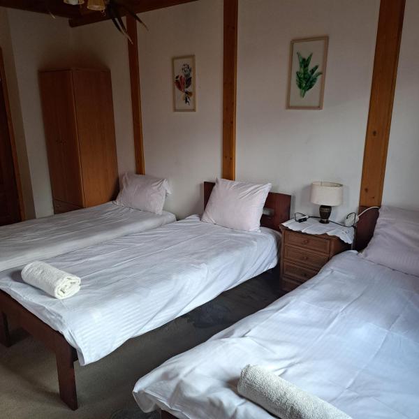 写真にはPrzedbórz市にあるDom myśliwskiが写っています。