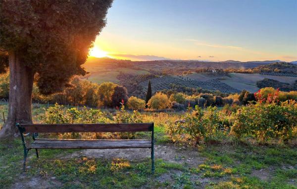 Stunning Apartment In Monte Antico - Provinz Grosseto