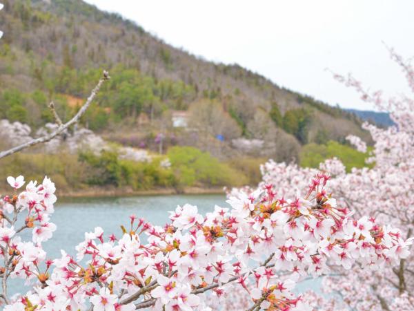Foto 8: ホテル白竜湖リゾート