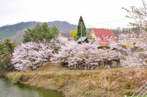 Foto 9: ホテル白竜湖リゾート