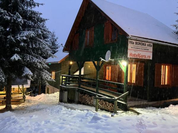 A la foto es mostra l'objecte Vila Boróka situat a la ciutat de Comandău.