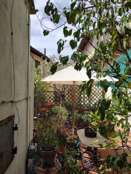 Billede 9: Apartment - Studio Anthurium
