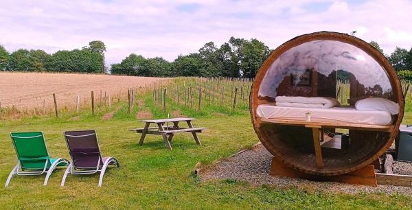 A la foto es mostra l'objecte Tonneau bulle insolite, vue sur vignoble situat a la ciutat de Pouldergat.
