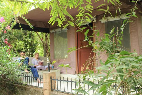 Bilde 4: PushkarOrganic - Lux farm resort with pool