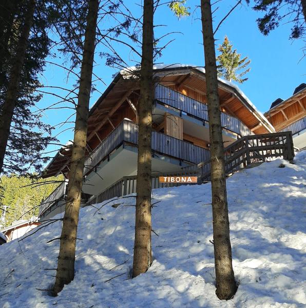 Golte Apartment Tibona - Mozirje