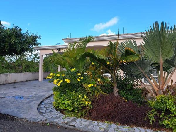 På billedet ses objektet Coconut Alley beliggende i byen Bel Air.
