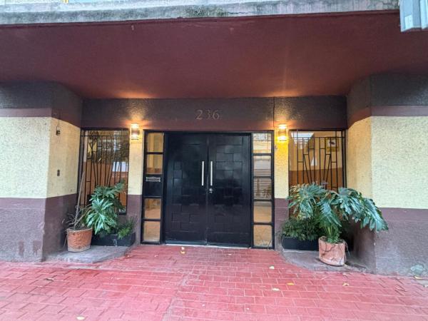 Bild 3: Suite Progreso