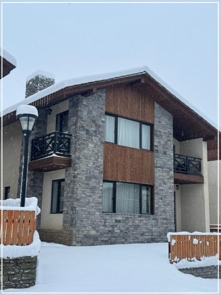 На фото показан объект Nest development, расположенный в городе Бакуриани.