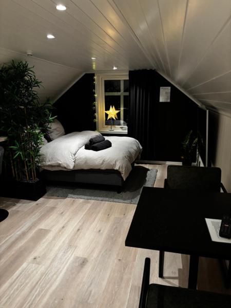 Nella foto è visibile l'oggetto NY og moderne studioleilighet med elbil lading situato nella città di Moelv.