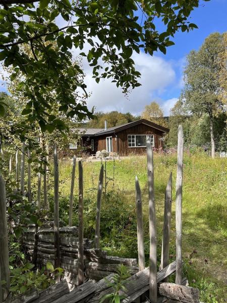 På billedet ses objektet Charming and cozy cabin in Geilo beliggende i byen Geilo.